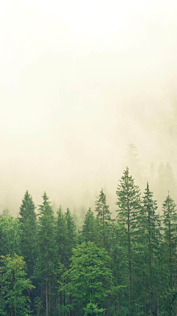 720x1280  Влюблена в твою резню - TV Tropes