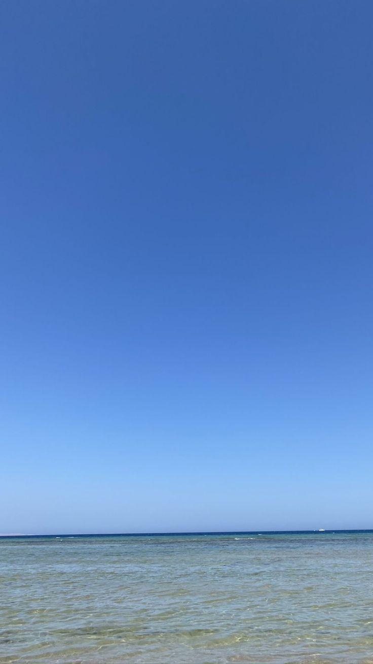 736x1308  Обои фоны эстетика бежевый зима клавиатура обои эстетика обои фоны hd  светлые обои для iphone | Обои фоны, Обои для iphone, Черные обои