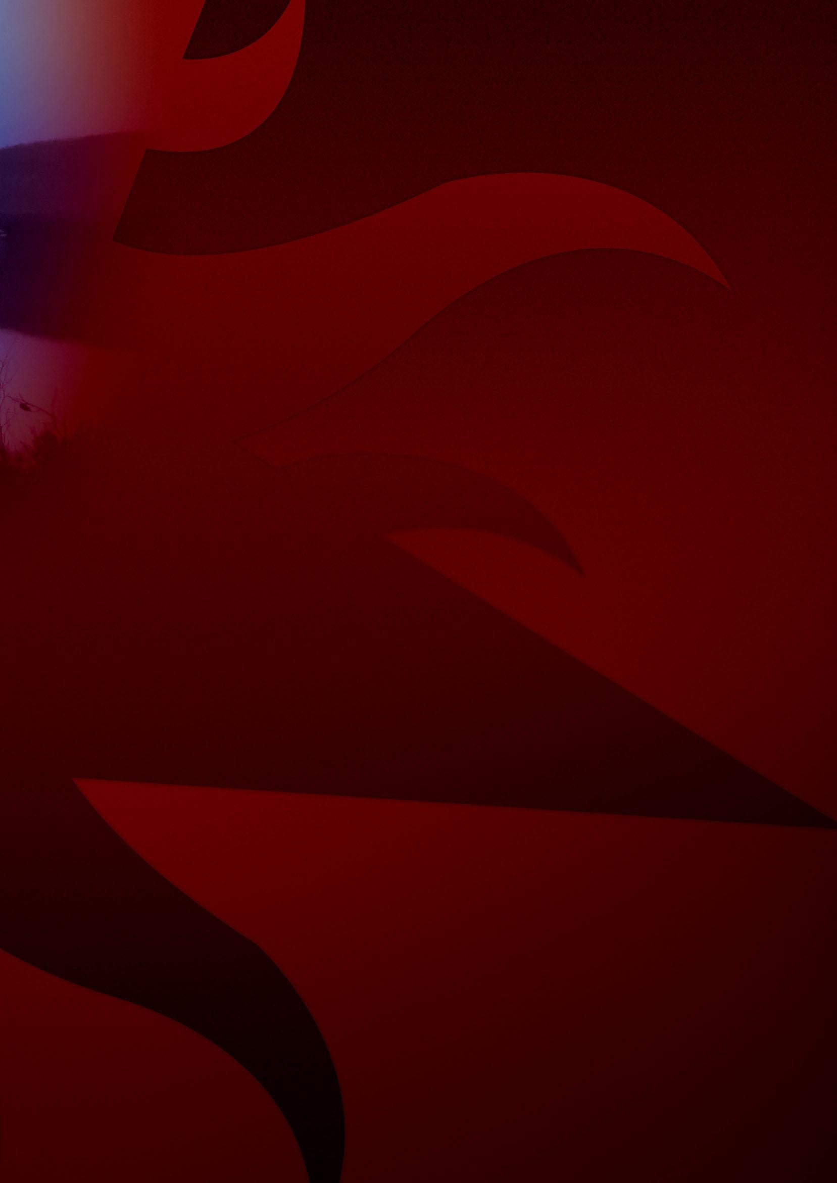 1657x2342  Файл:Ариана Гранде, Дэвид Шэнкбоун.jpg — Википедия