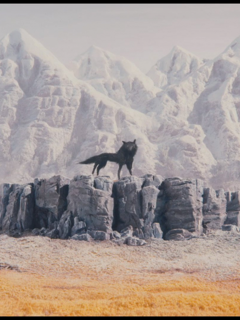 768x1024  Free download Fantastic Mr Fox wolves wallpaper 1920x1080 243029 WallpaperUP [1920x1080] для вашего рабочего стола Мобильный \ u0026 Tablet | Исследуйте 47+ Мистер Фокс Обои | Лучшие обои для мальчиков Scion Fox Обои Фантастический мистер Фокс Wallpaper