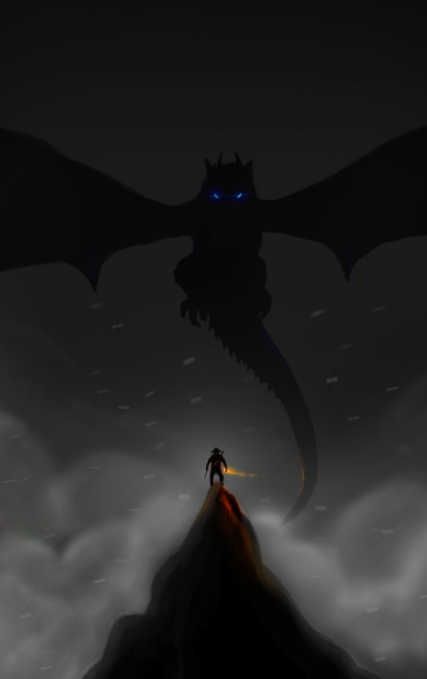 840x1336  Скачать 840x1336 темнота, дракон и воин, the Elder Scrolls v: skyrim, iphone 5, iphone 5s, iphone 5c, ipod touch, 840x1336 обои, картинки 15231