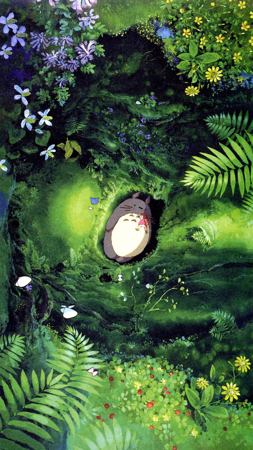 880x1564  My Neighbor Totoro Wallpaper - Studio Ghibli15 Wallpaper - Studio Ghibli1564 Обои - teahub.io 