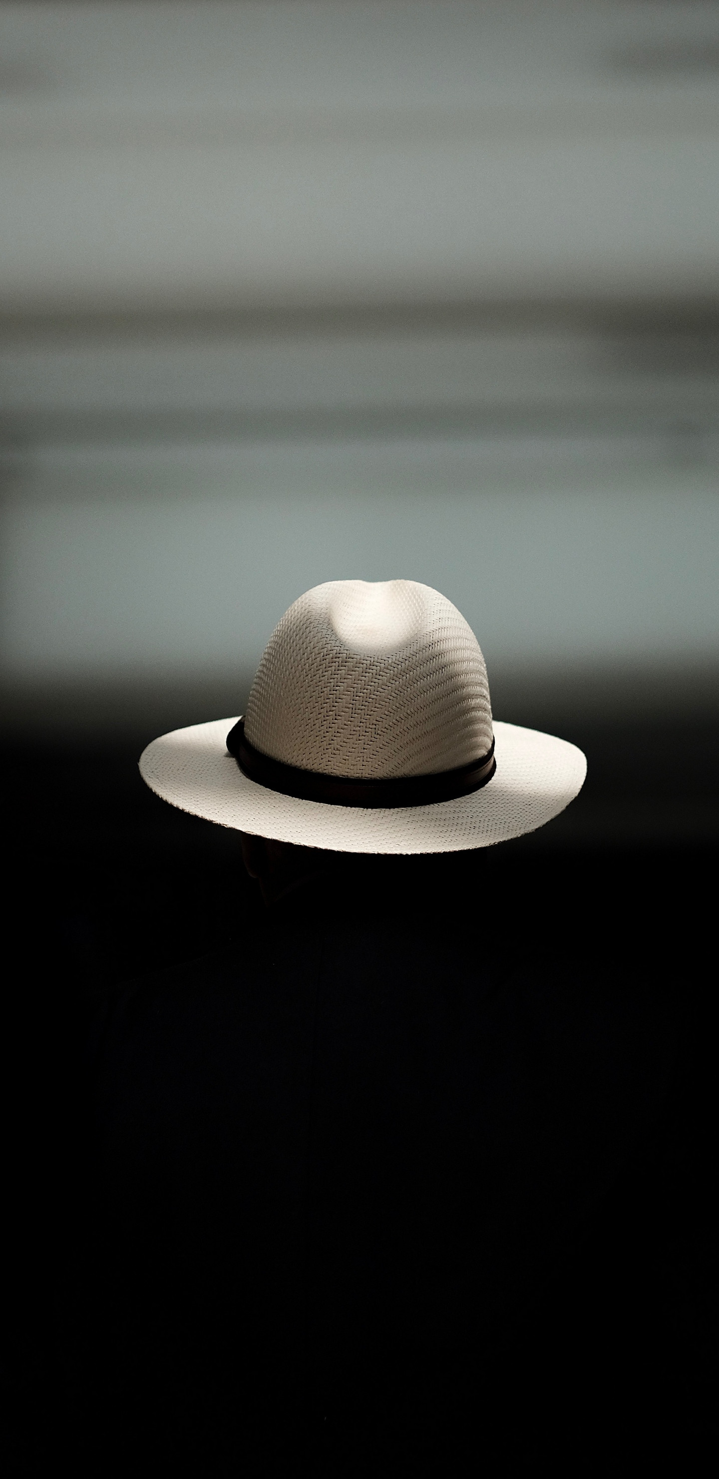 1440x2960  Скачать обои «Кот в шляпе об этом много знает!» на телефон, бесплатно картинки «Кот в шляпе об этом много знает!»