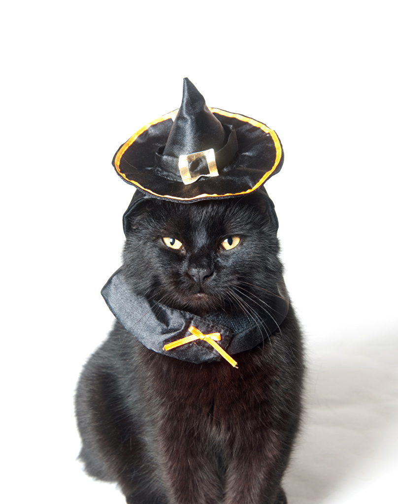 808x1024  Хакер, плохие парни, плохой человек, черный, хакеры, HD обои для телефона | Пикпикселей