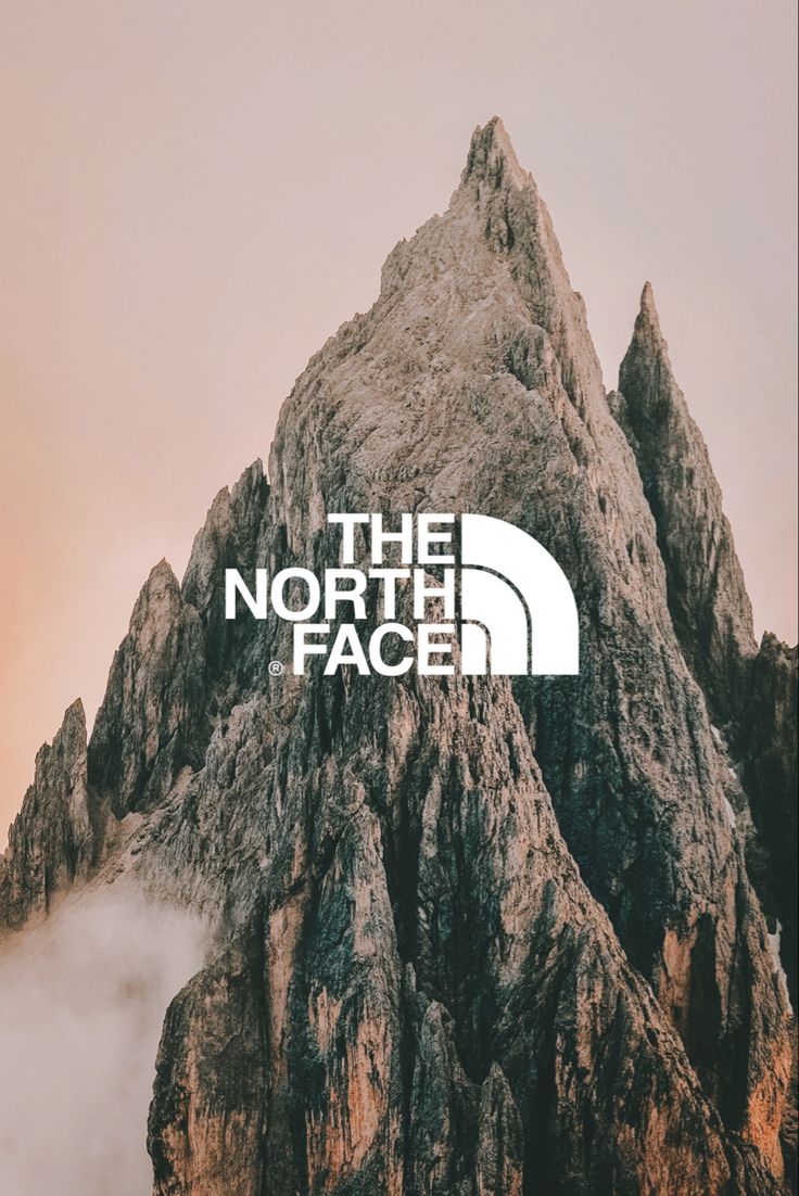 736x1102  59 идей The North Face | северная стена, бренд North Face, лицо