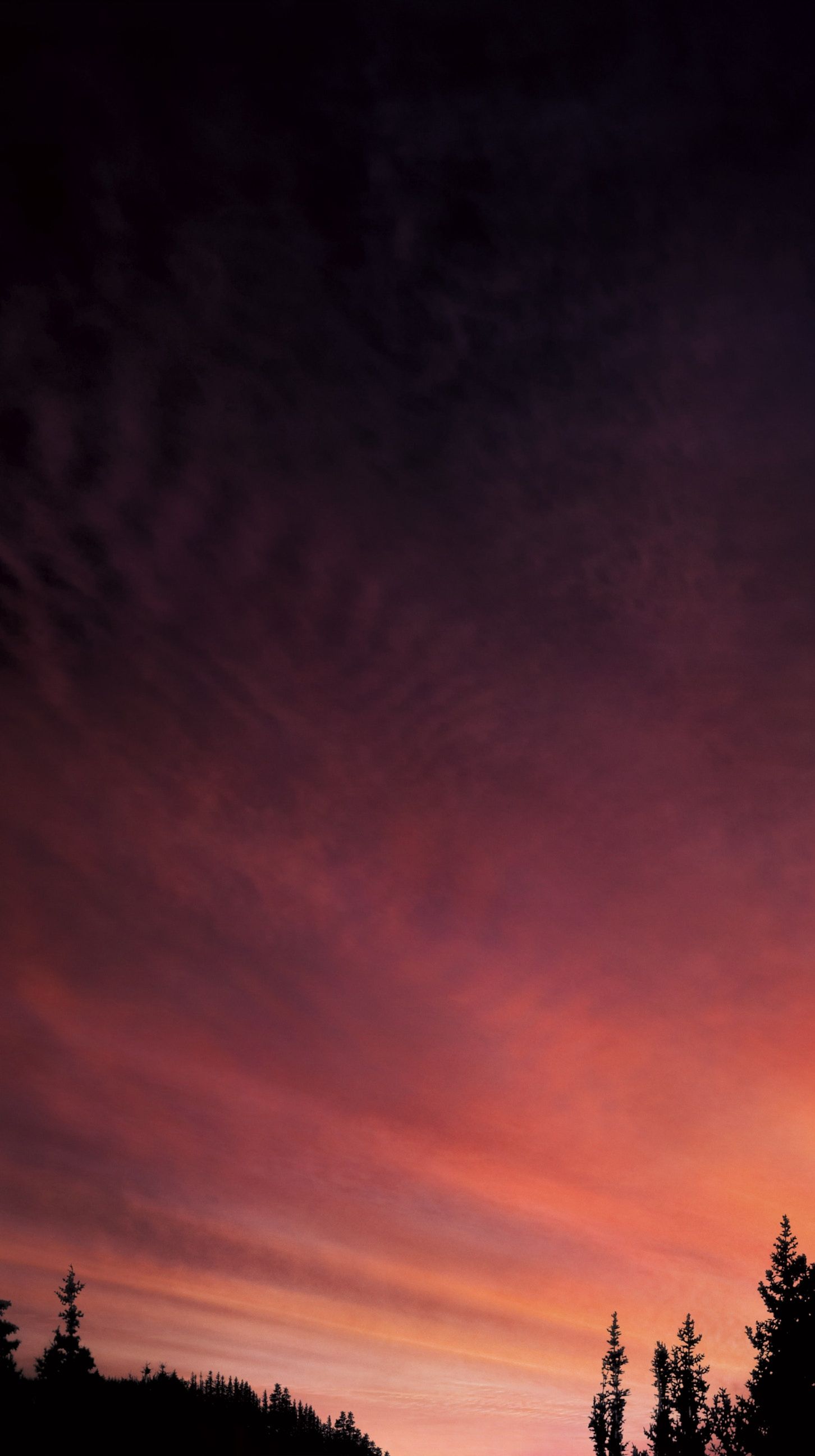 1452x2592  Пин от пользователя Zach Lesher на доске iPhone Wallpaper | Сумерки, Сумерки. Сага, Сумерки