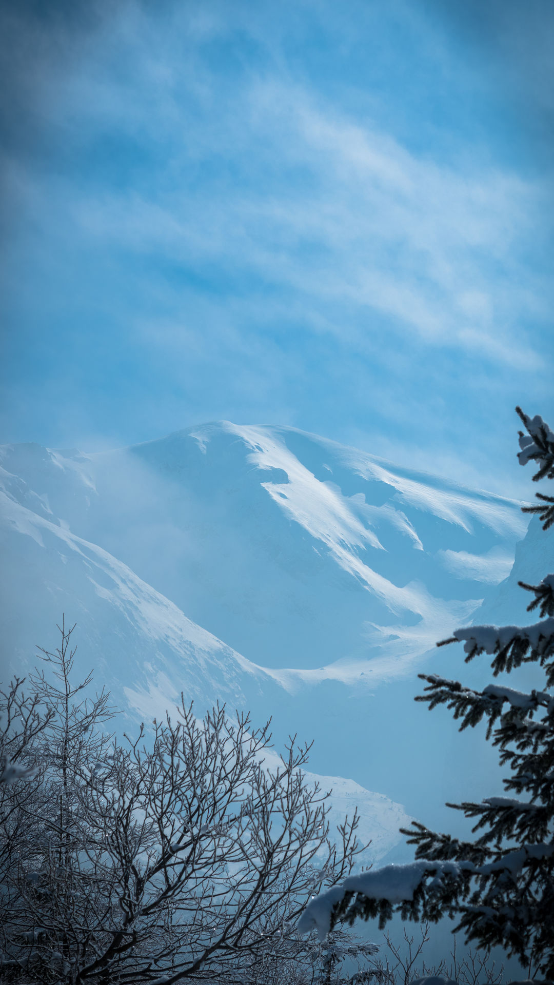 1080x1920  Зденце: Пшеленч в Гжибовцу - Выжня Кондраца Пжеленч | mapa-turystyczna.pl