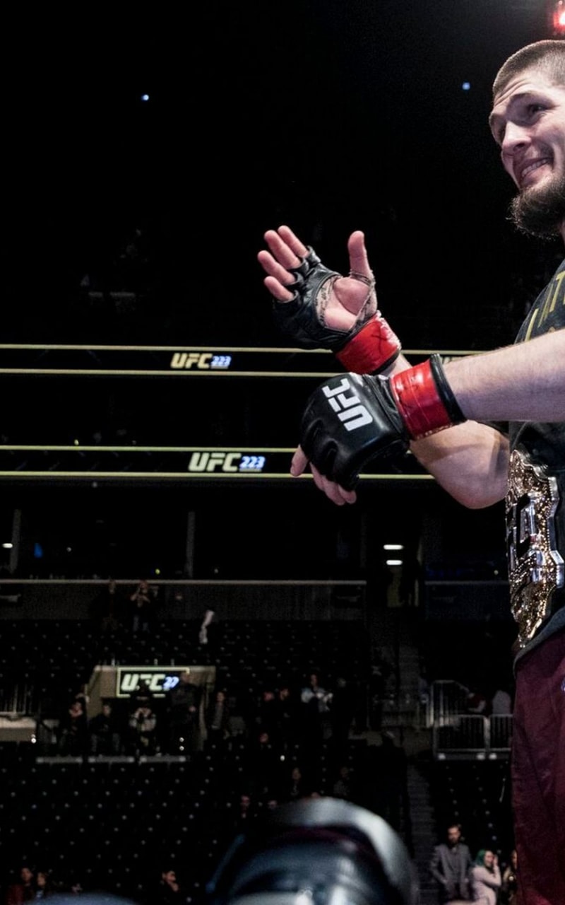 800x1280  Игра Sports UFC 2 для PlayStation 4 - отзывы покупателей на маркетплейсе  Мегамаркет | Артикул: 100000036532