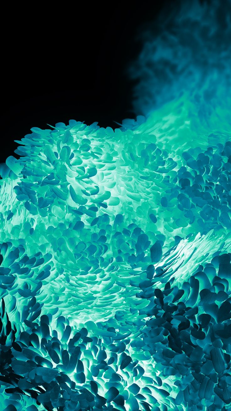 736x1308  Скачать Vivo Wallpapers HD 4K Offline APK для Android