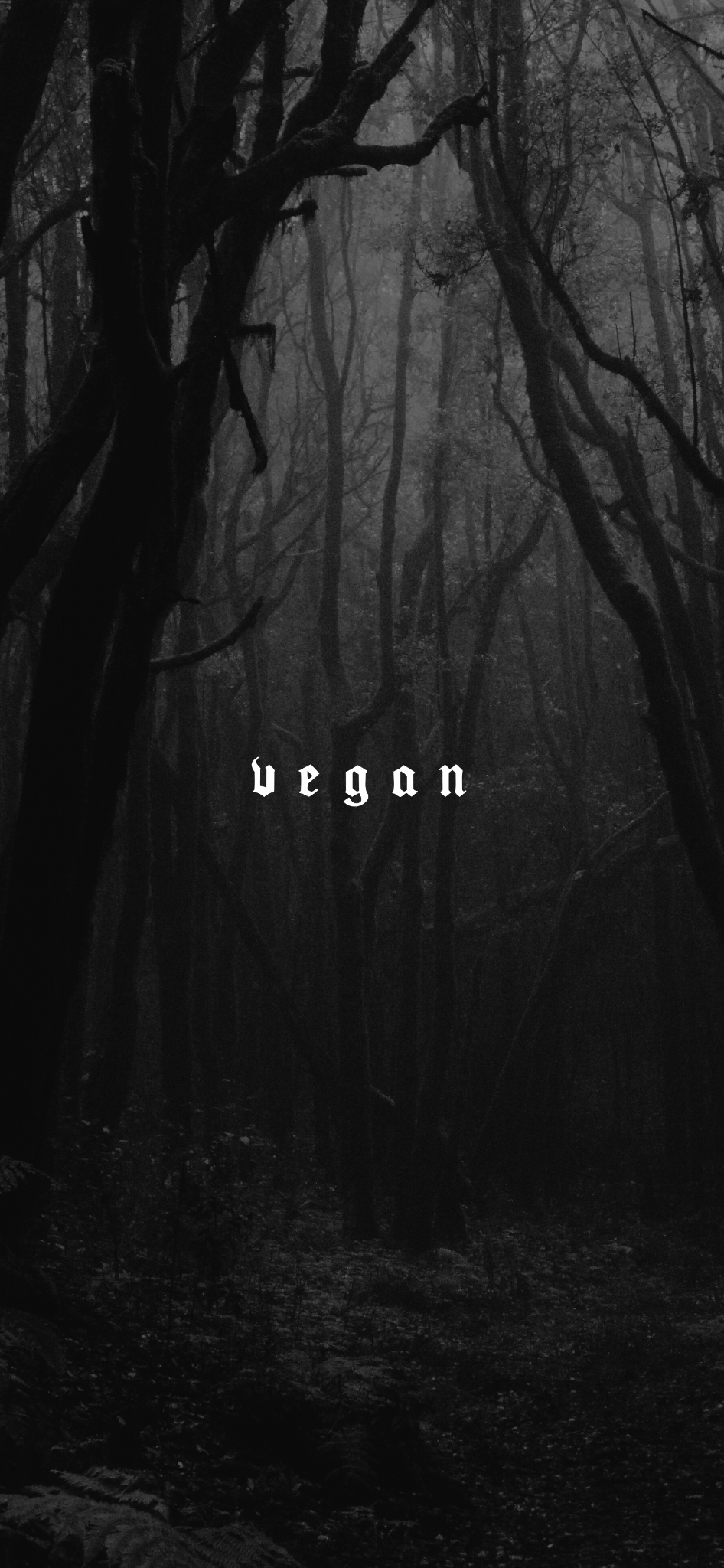 946x2048  Бесплатные веганские обои – Vegan Leather Co.