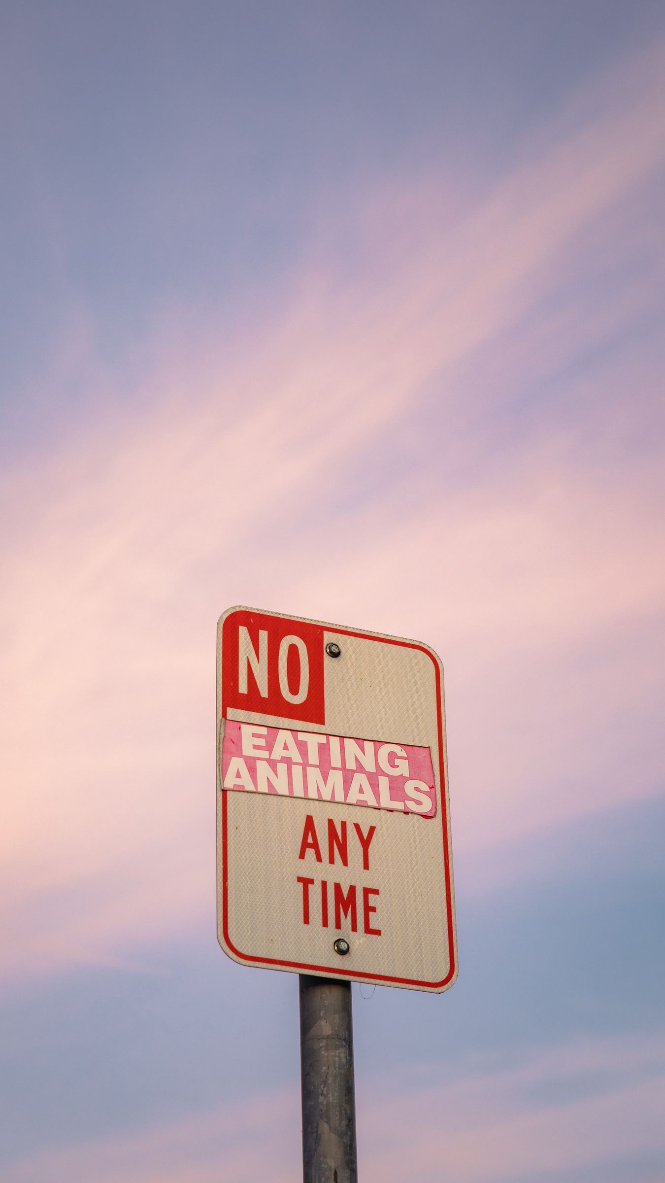 1350x2400  Скачать более 100 бесплатных веганских обоев