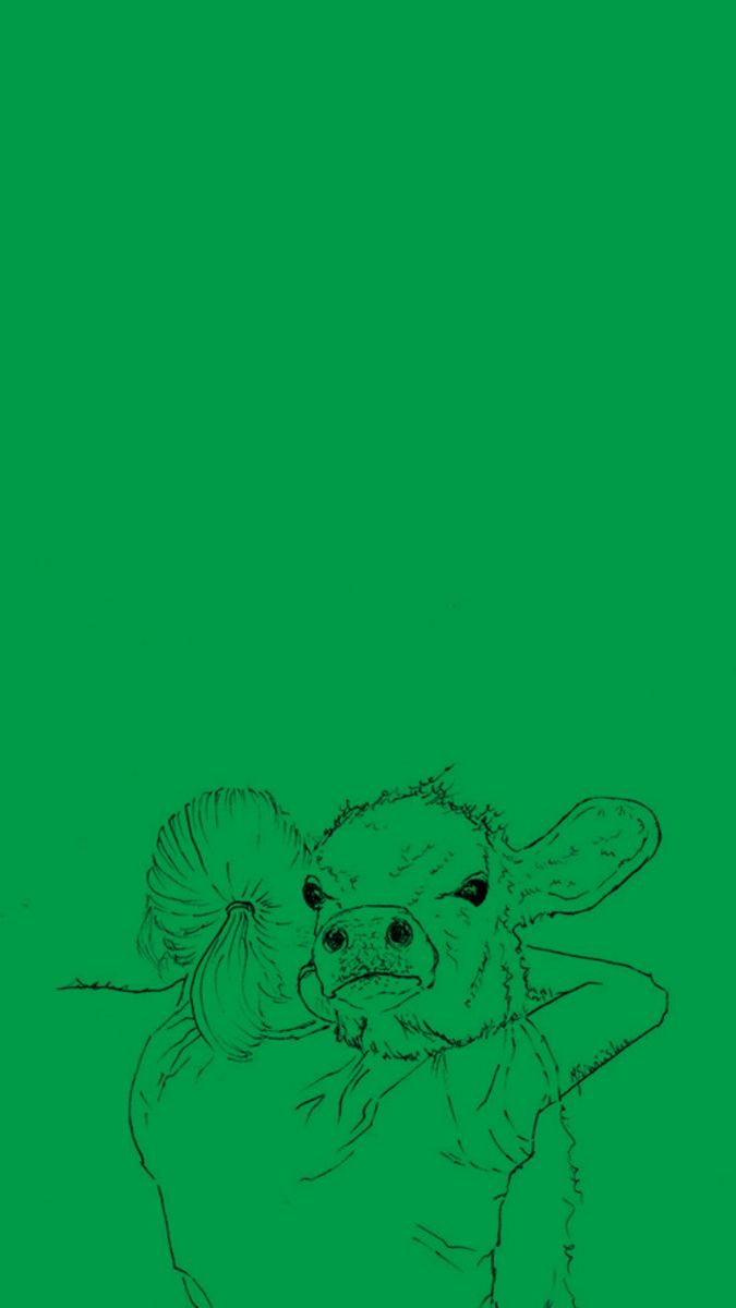 675x1200  Скачать обои «Веганская малазийская еда» Наси Лемак «Наверху» | Обои.com