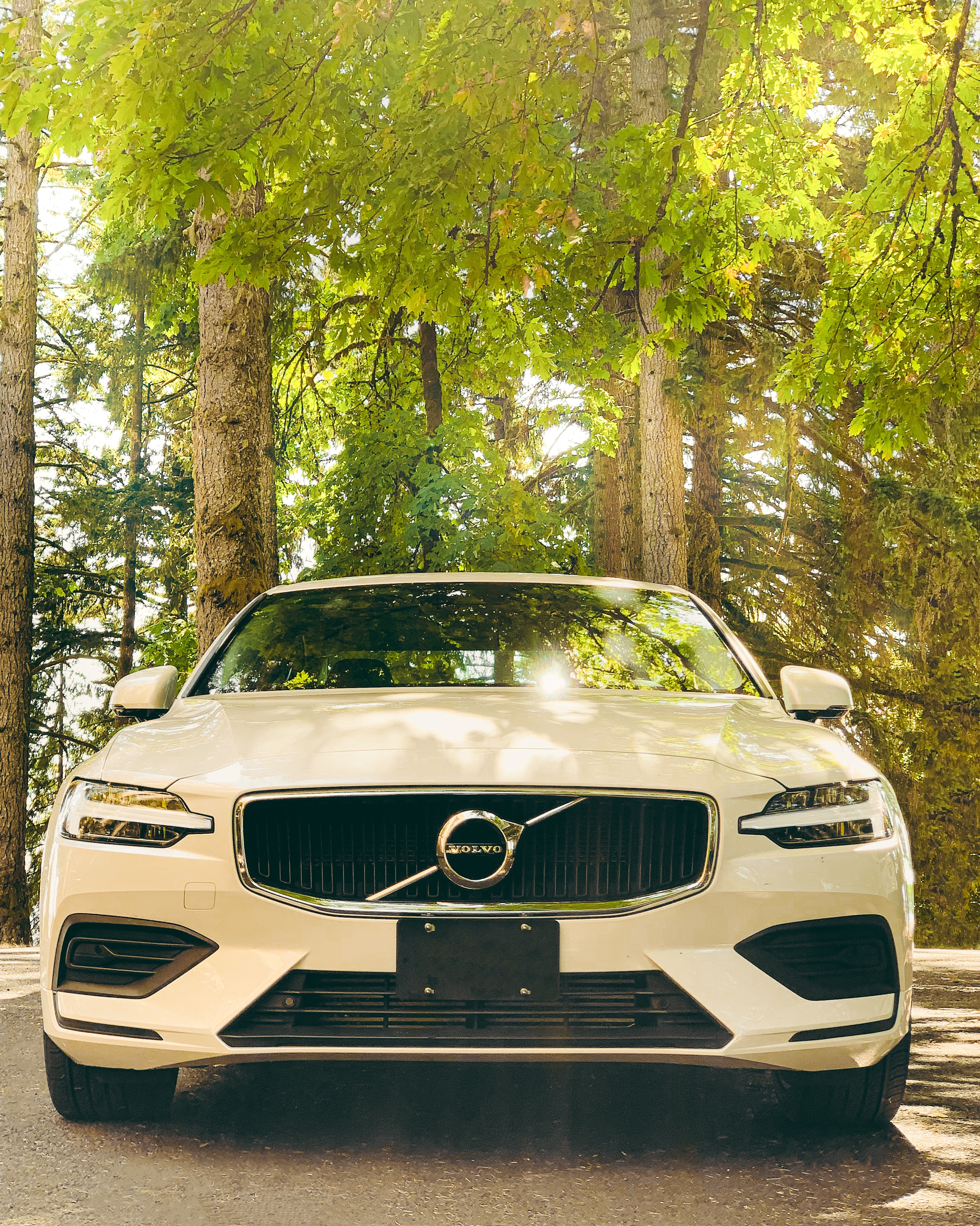 2705x3381  Более 1000 фотографий Volvo | Загрузите бесплатные изображения на Unsplash