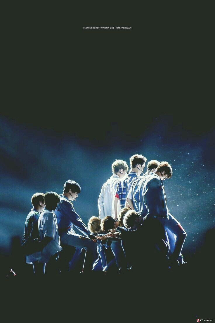 736x1104  Скачать Wanna One Wallpaper HD KPOP APK