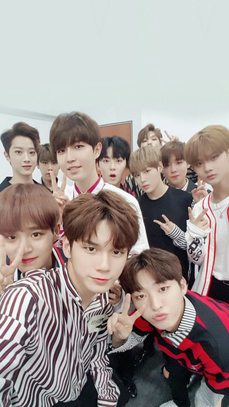 736x1308  https://molang.com/collections/wallpaper