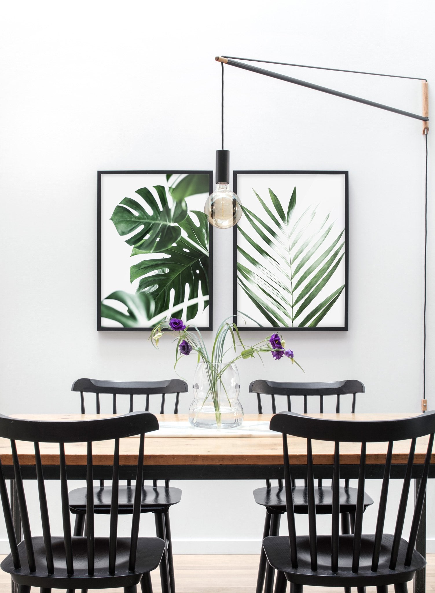 1503x2048  Плакат с ботаническим листом монстеры Wild Ways | Противоположная стена