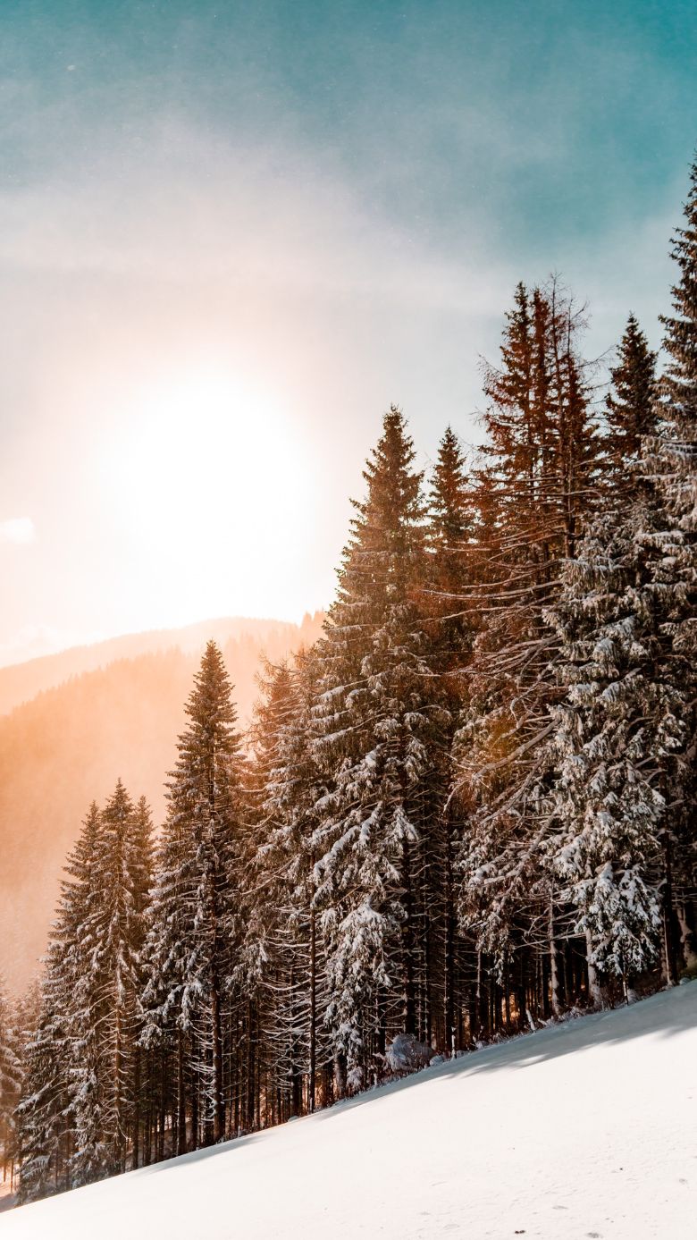 780x1387  Зимний сезон фон Обои Скачать | МобКубок