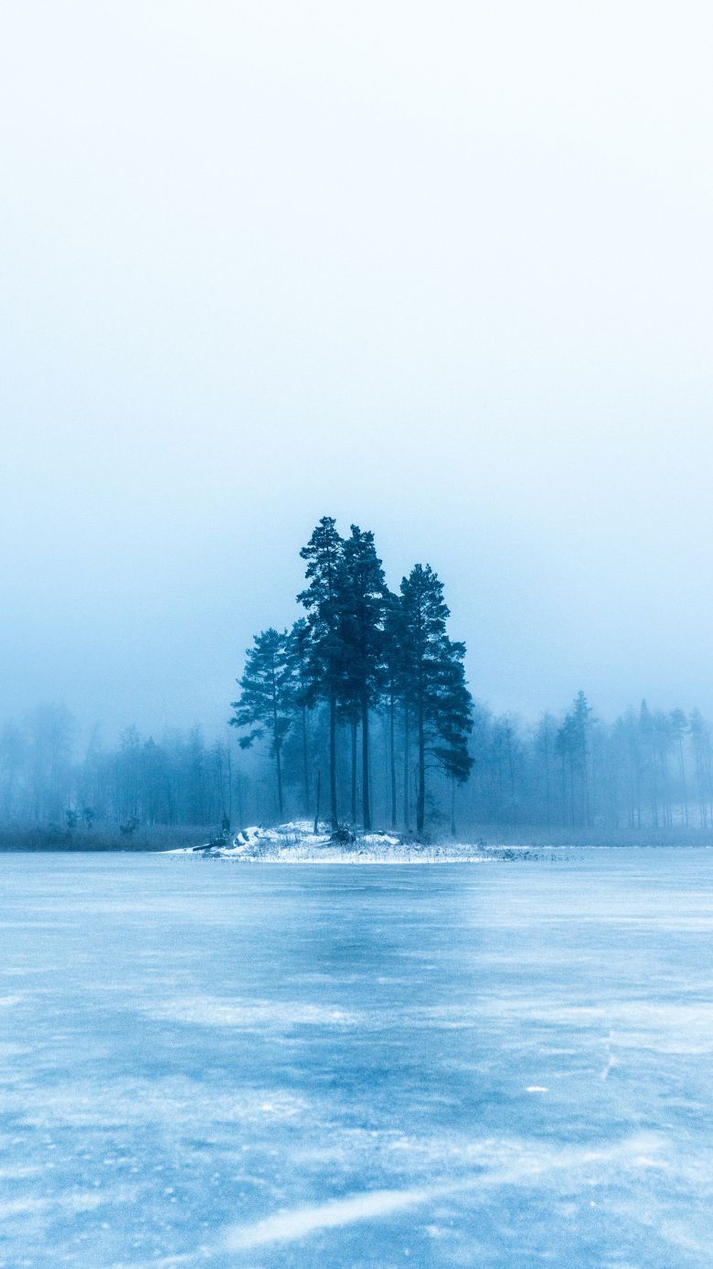 780x1387  100+] Зимние обои для телефона | Обои.com