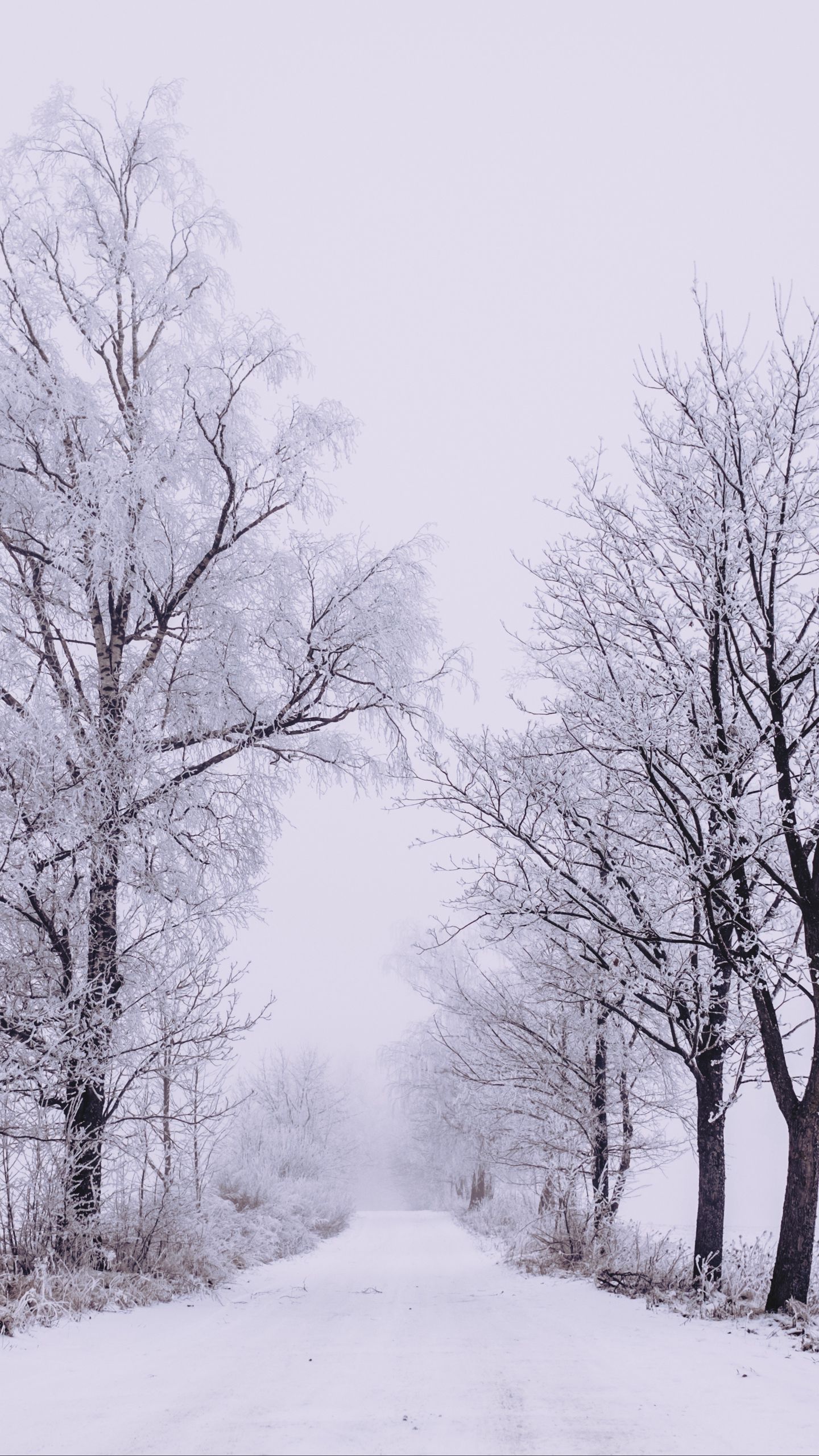 1440x2560  Зима в горах Эстетические обои - HD Зимние обои