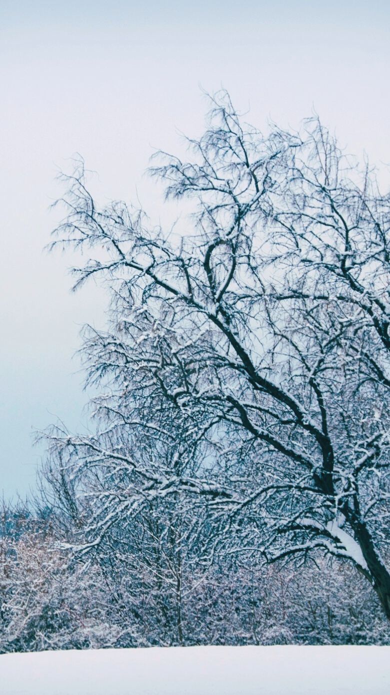 780x1387  Зима Мобильные HD Обои — Обои Пещера