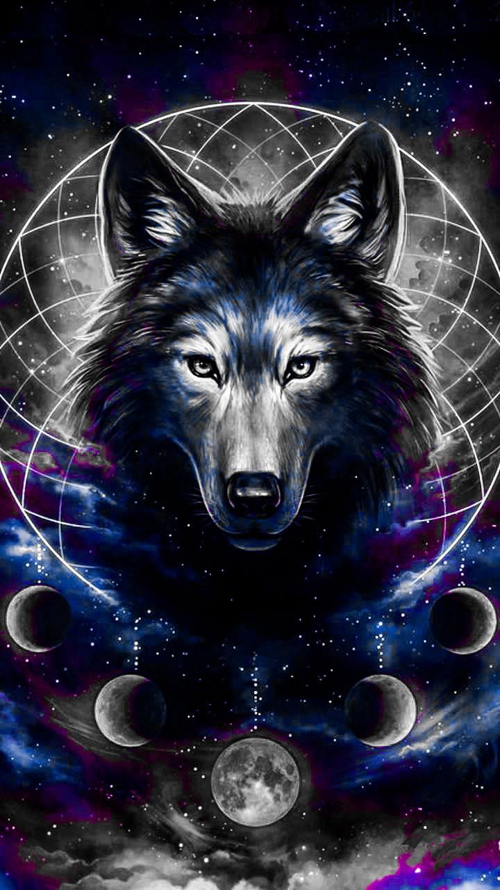 720x1280  Cool Wolf HD Wallpapers: Amazon.de: Appstore для Android