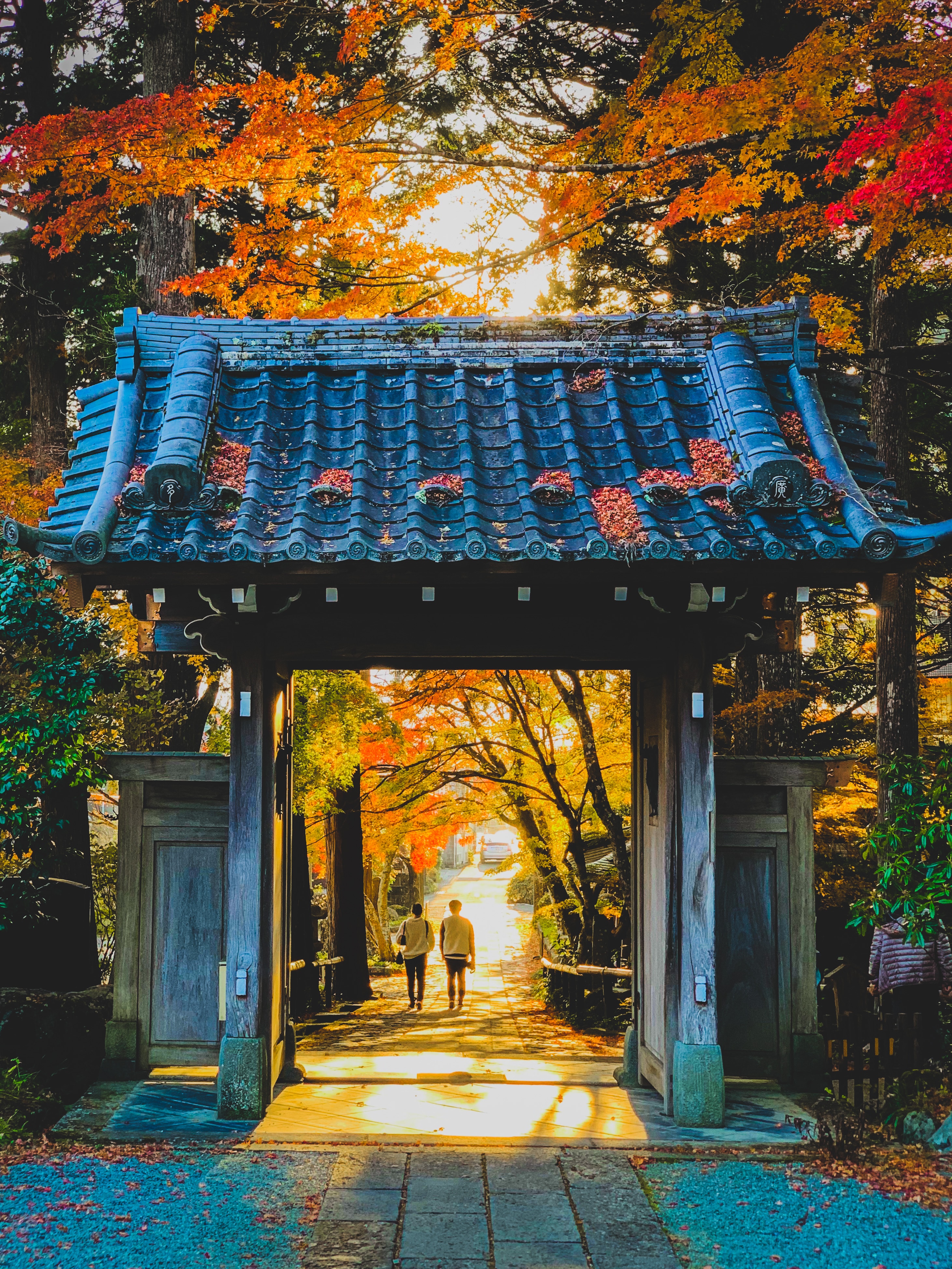 2923x3897  1001 Головоломка. Мировой тур: Япония | 100+ лучших бесплатных фотографий Японии, людей, Киото и Японии на Unsplash