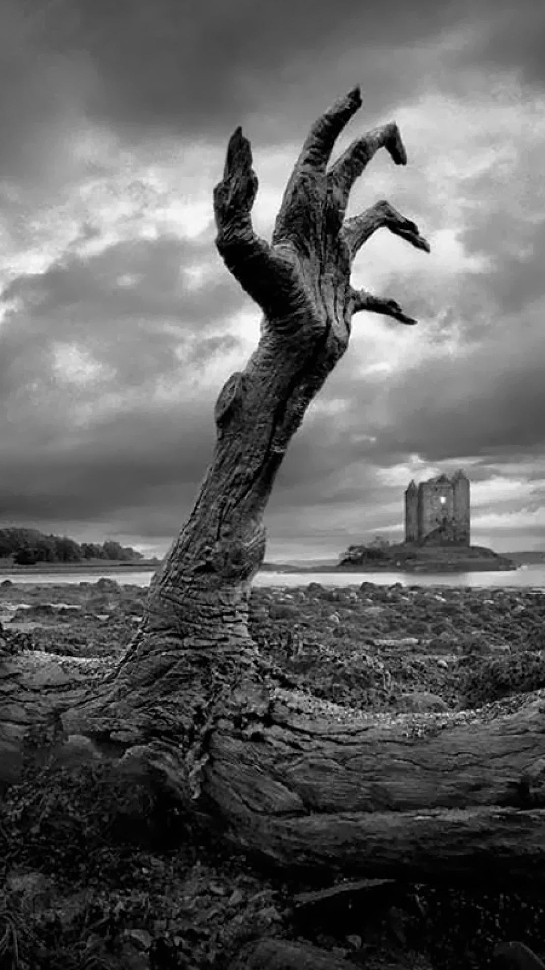 1080x1920  Скачать Zombie Attack HD Wallpapers для Android APK 다운로드