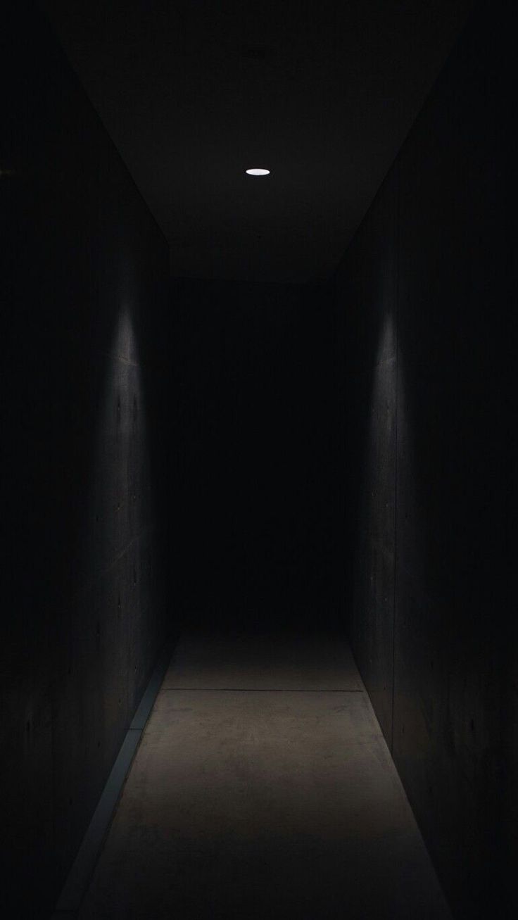 736x1307  100 000+ лучших фоновых фотографий Zoom · 100% бесплатная загрузка · Pexels Stock Photos