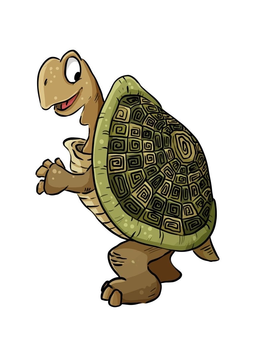 857x1200  Мудрая черепашка рисунок - 63 фото