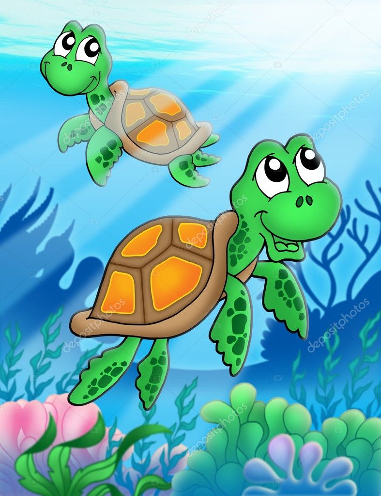 787x1023  47 стоковых иллюстраций с маленькими черепахами | Depositphotos