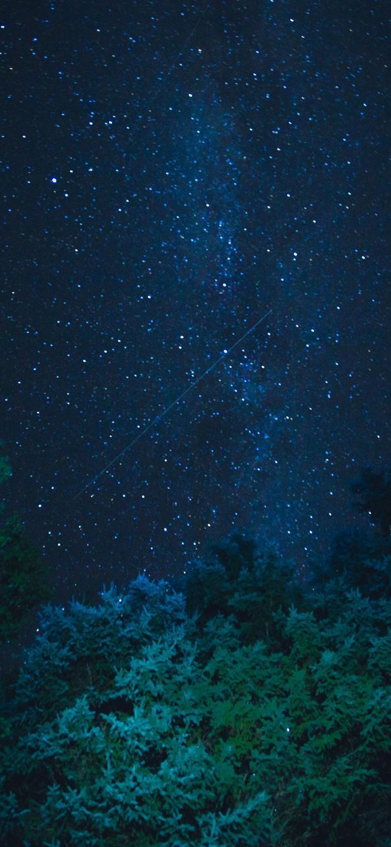 1284x2778  1560х720 обои на телефон [13+ изображений]