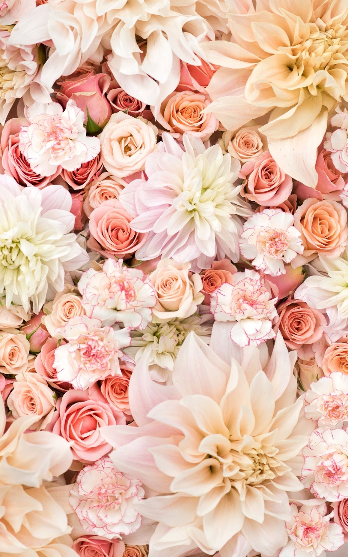 1161x1856  Обои На Телефон Айфон – Telegraph