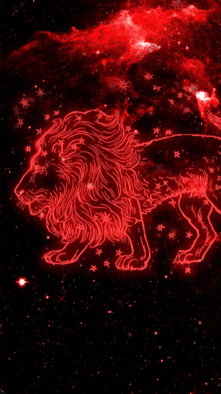 720x1282  Знак Зодиака Лев обои на телефон (25 фото)