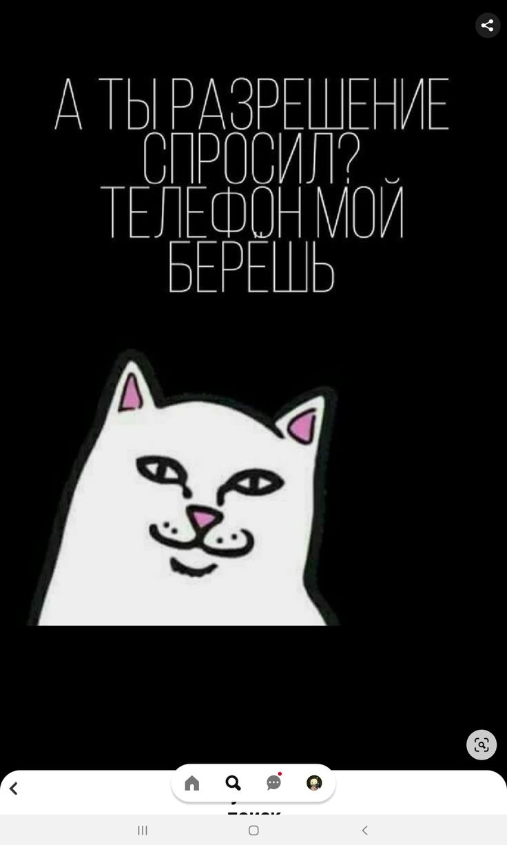 736x1226  Смешные обои где пароль в 2023 г | Веселые мемы, Цветные цитаты, Небольшие  цитаты