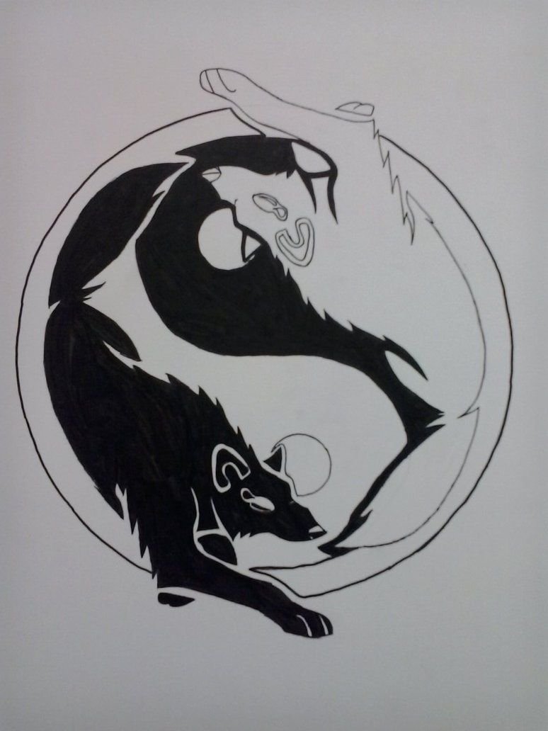 774x1032  Обои на телефон: Аниме, Аанг (Аватар), Аватар: Легенда Об Аанге, Аватар  (Аниме), 1192025 скачать картинку бесплатно.