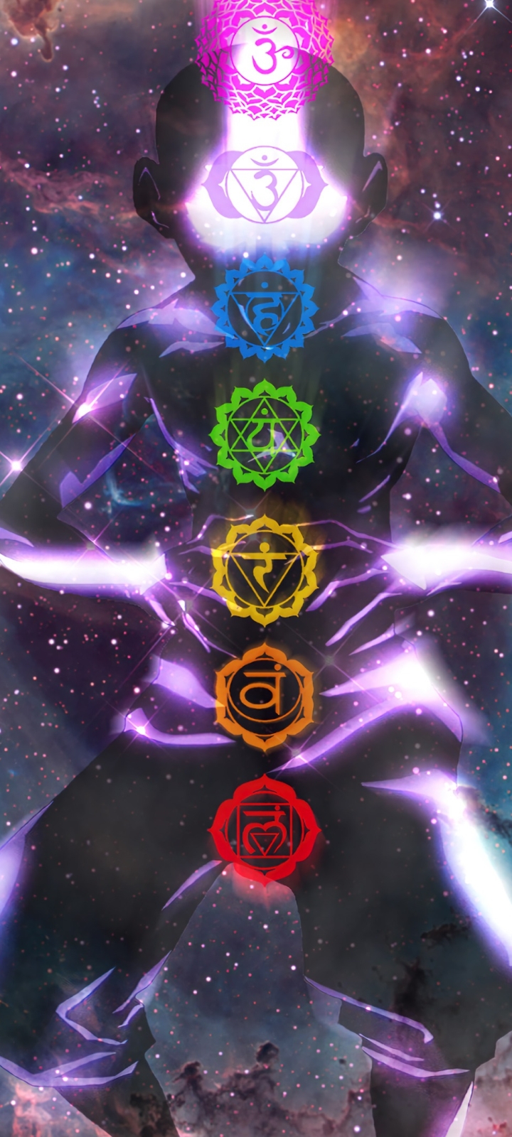 720x1600  Лисы Инь и Янь арт - 73 фото