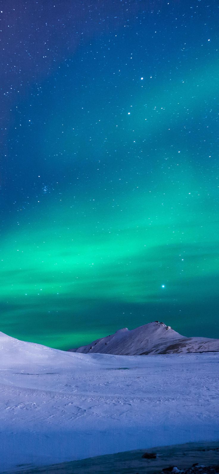 736x1592  Обои на Телефон | Iphone wallpaper winter, Northern lights wallpaper,  Northen lights