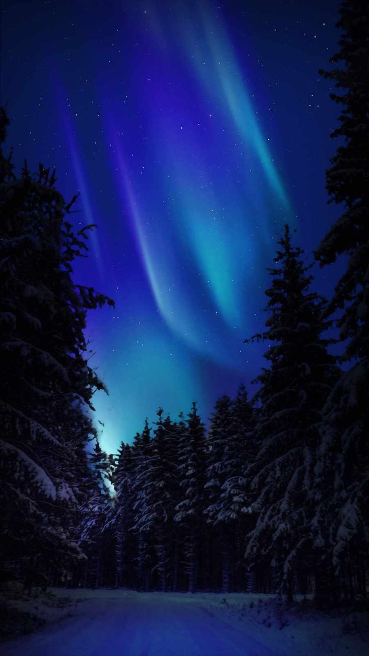 736x1308  iPhone Wallpapers for iPhone 12, iPhone 11, iPhone X, iPhone XR, iPhone 8  Plus High Quali… | Northern lights wallpaper, Northern lights photography,  Northern lights