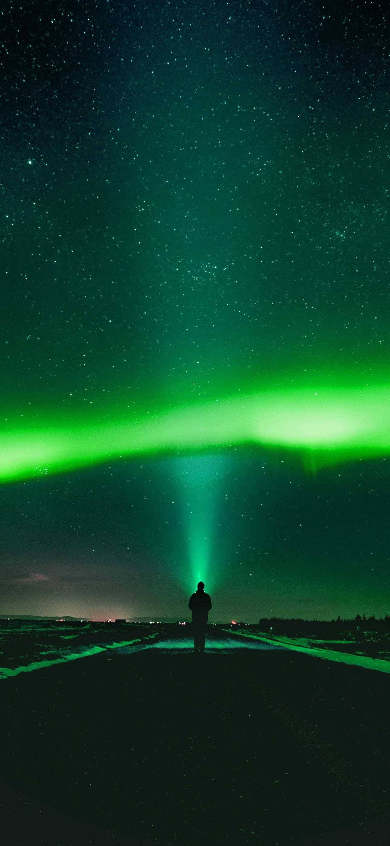 1290x2796  Pin on All Wallpapers