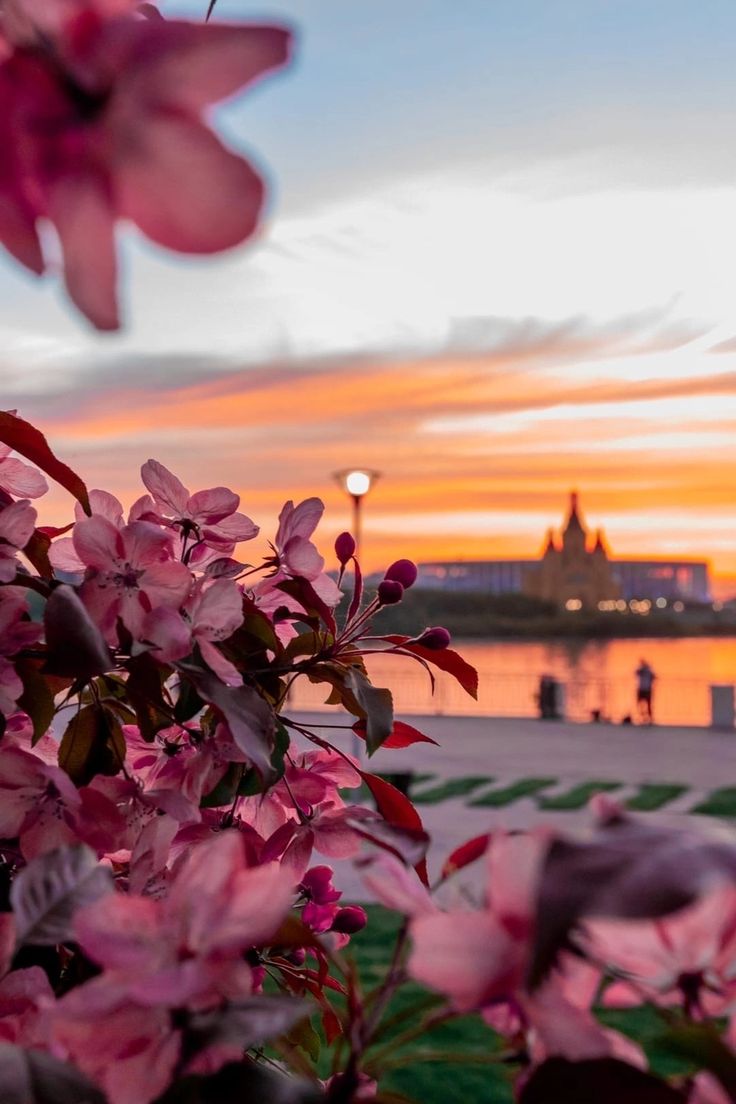 736x1104  Пин от пользователя Noinadina на доске Нижний ❤️ в 2023 г | Пейзажи,  Цветочные фоны, Закаты