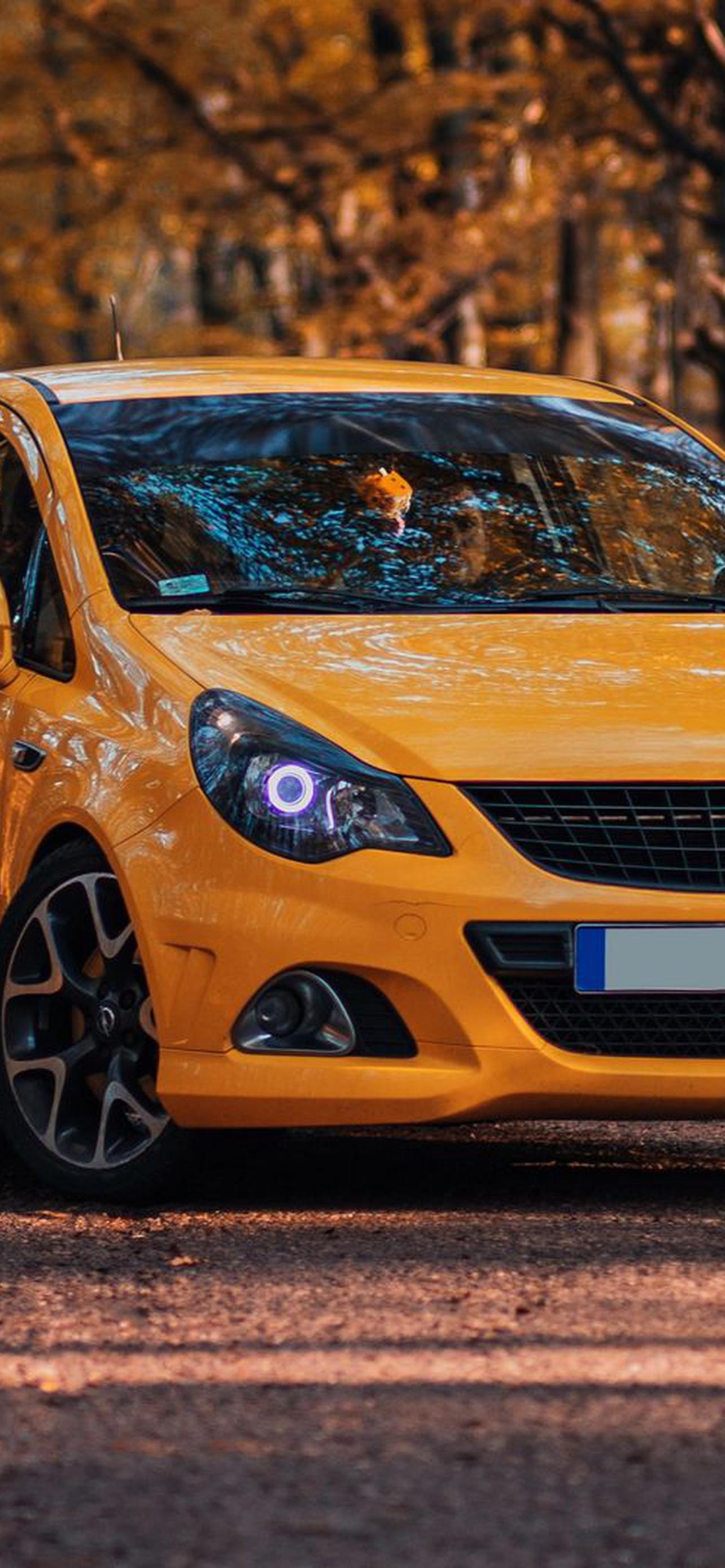 1284x2778  Опель обои на телефон [30+ изображений]