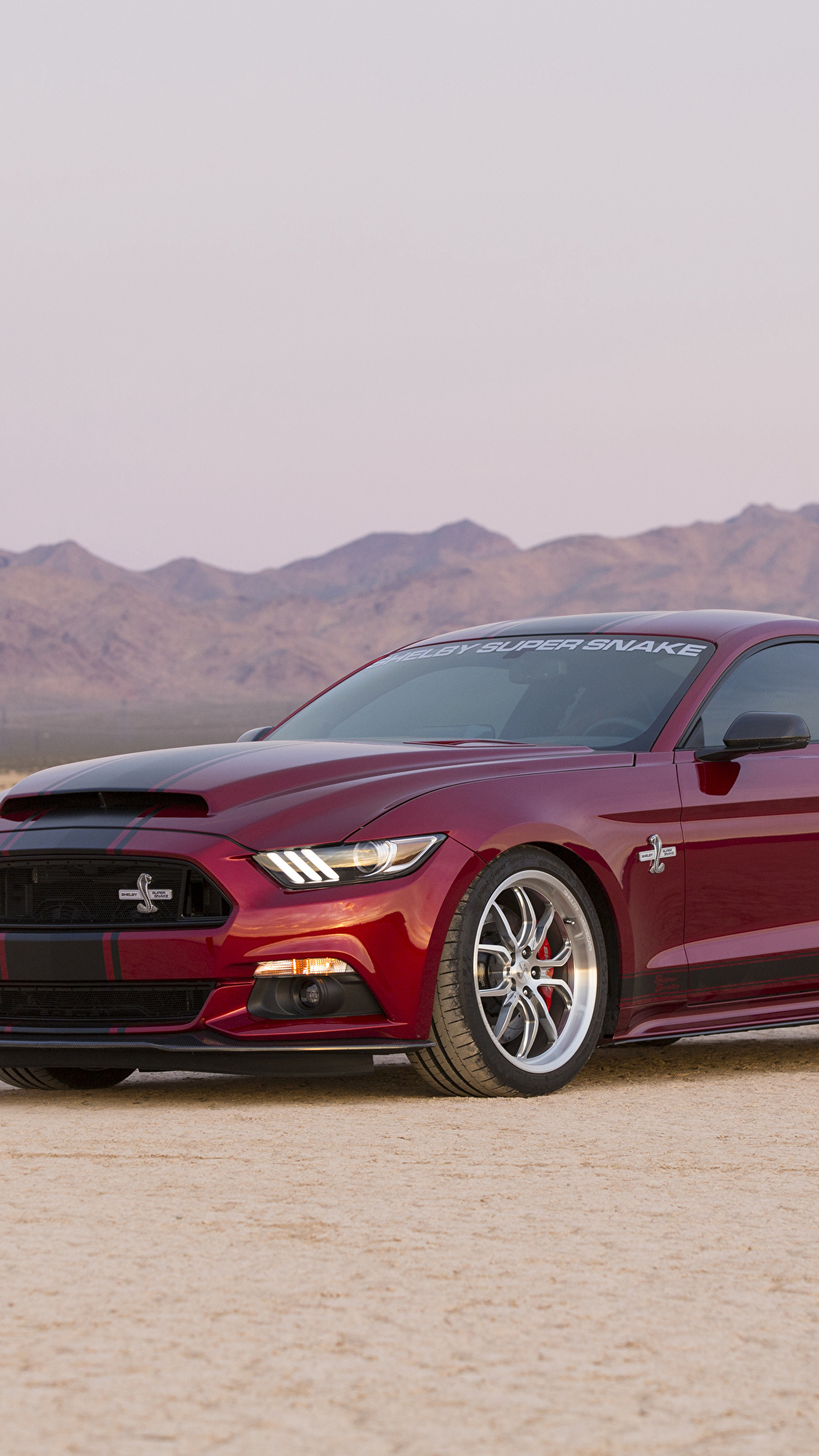 1080x1920  Фотография Форд Shelby, 2015, Super Snake, Mustang 1080x1920