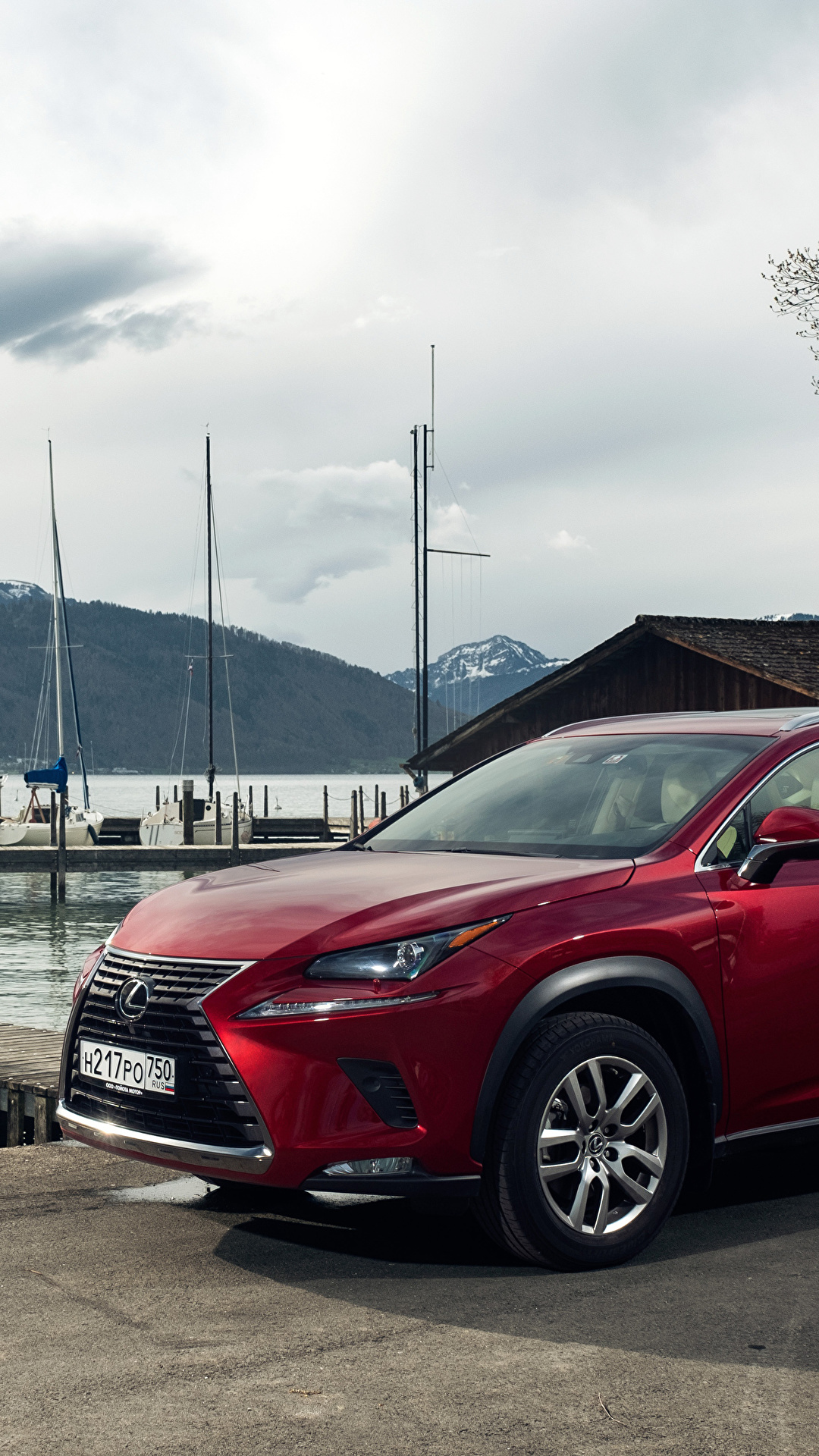 1080x1920  Картинка Lexus 2018 NX 200 бордовые Автомобили 1080x1920