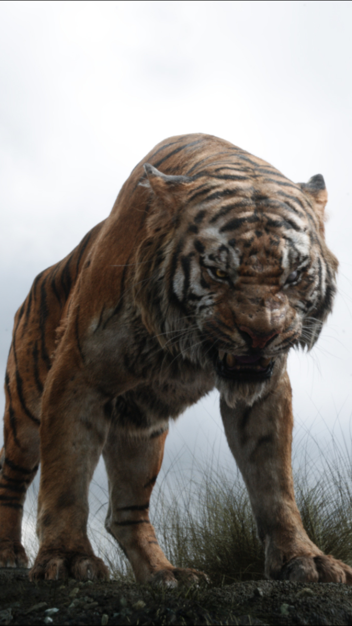 720x1280   Фильм / Книга джунглей (2016) (720x1280) ID обоев: 647605 - Mobile Abyss