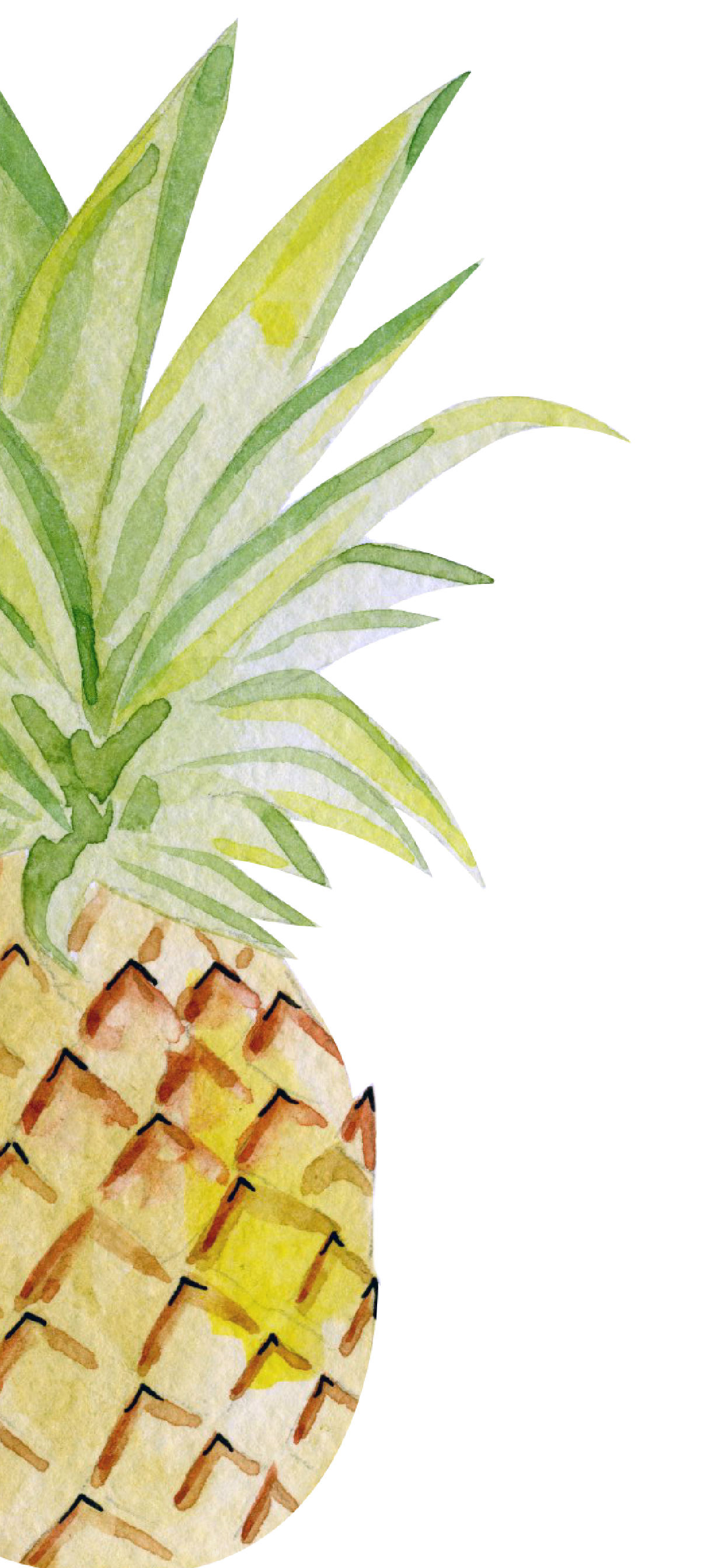 1242x2688 ананас лето iphone обои телефон | Обои iphone summer Pineapple wallpaper Симпатичные летние обои 