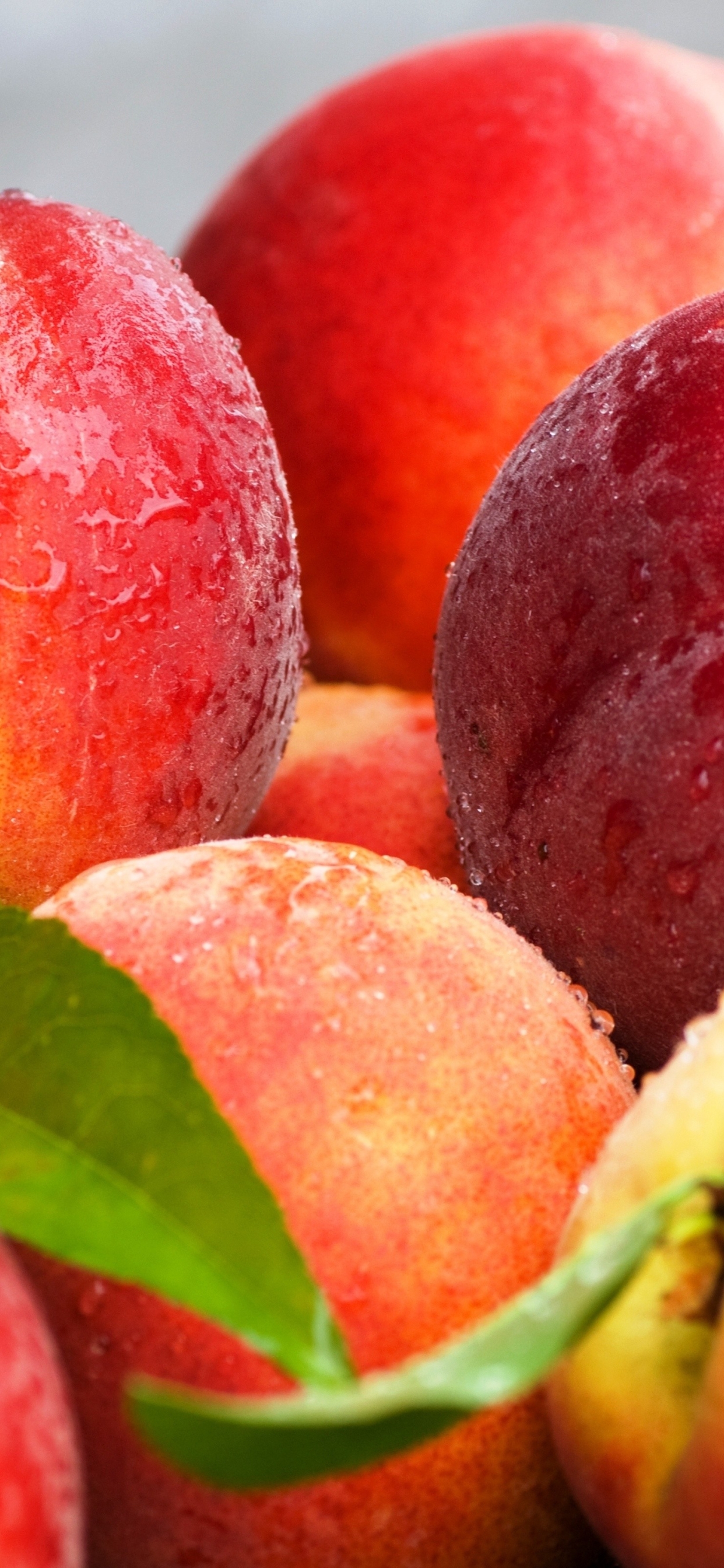 1242x2688  1242x2688 персики листья нектаринов Iphone XS MAX Wallpaper HD Food 4K Wallpapers Изображения и фон 