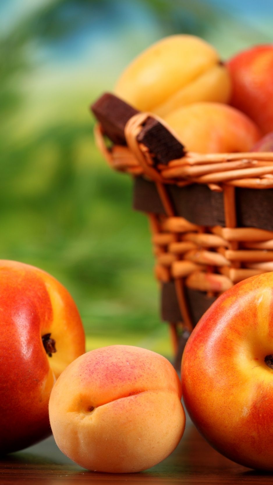 938x1668   Скачать обои 938x1668 персики нектарины корзина с фруктами абрикосы iphone 8/7 / 6s / 6 for parallax hd background 
