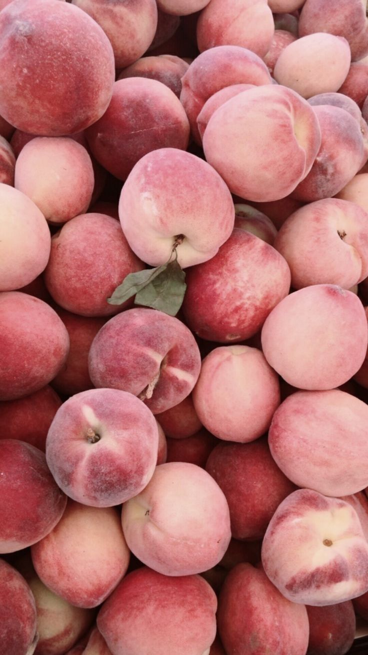 736x1309   Летние обои | Персиковые обои Красивые обои Фруктовые обои 