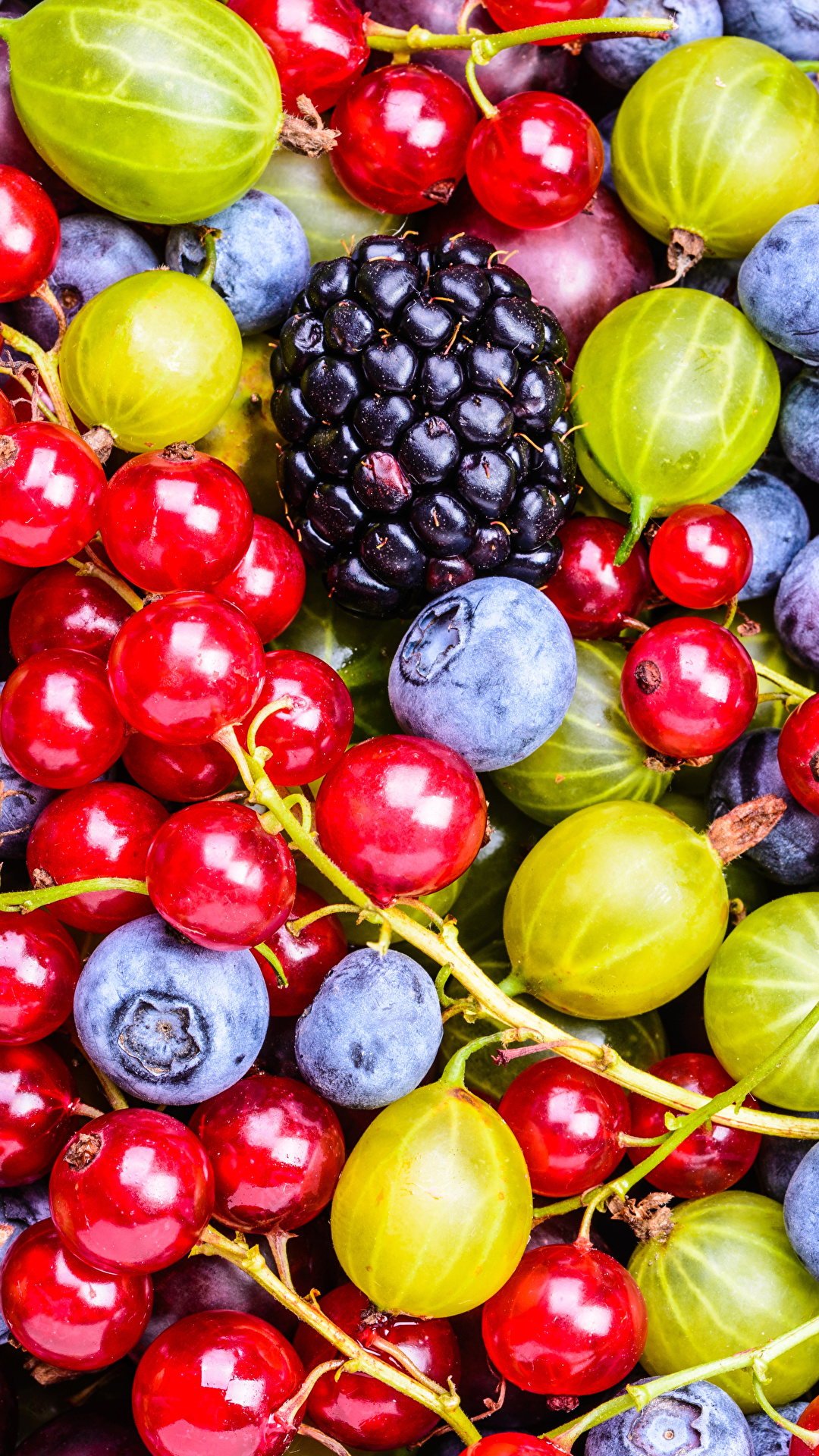 1080x1920   Фото Смородина Ежевика Крыжовник Черника Еда Ягода 1080x1920