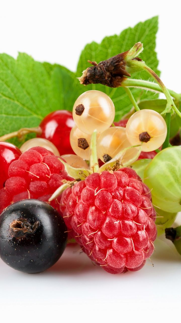 720x1280   Скачать обои 720x1280 Смородина Крыжовник Ягоды Малина Samsung Galaxy S3 HD Background | Фрукты Фрукты обои Ягоды